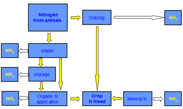 Source: CAPRI modelling system 