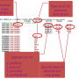 figure14.png